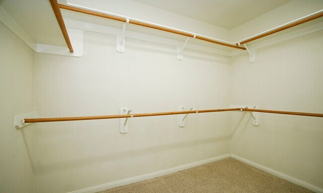 Building Photo - 11 Aquiline Oaks Pl