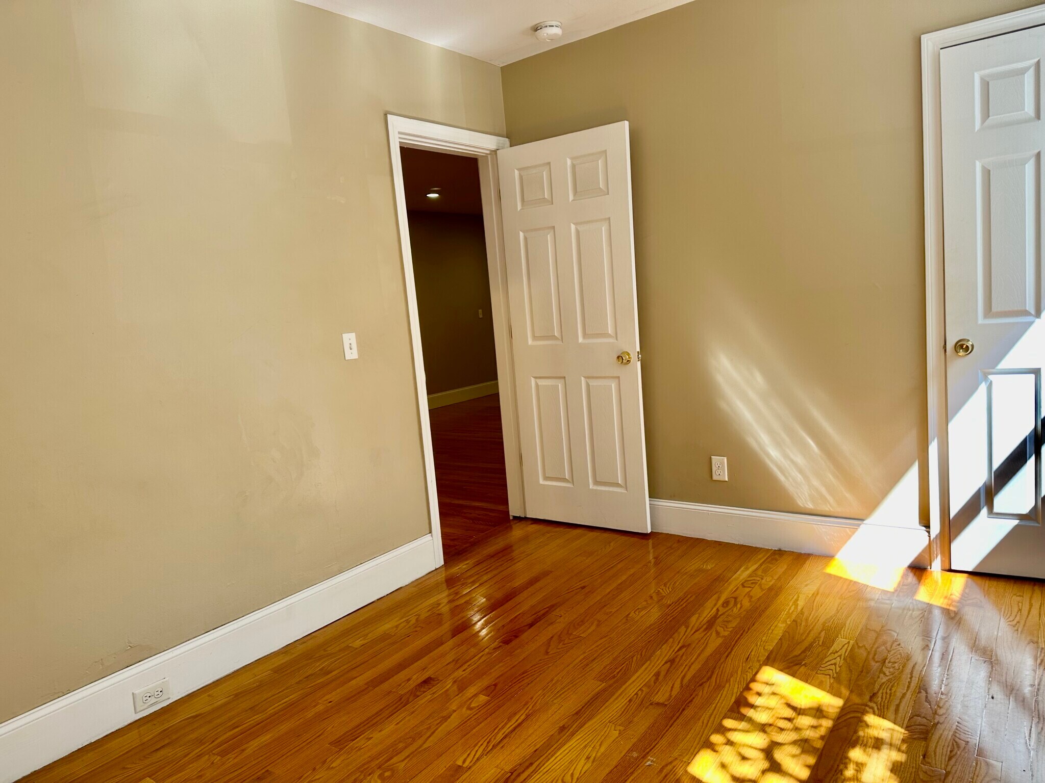 Building Photo - 72 Egmont St