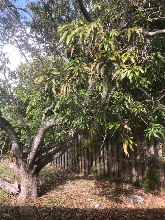 Building Photo - Large 5-2 house by Walmart