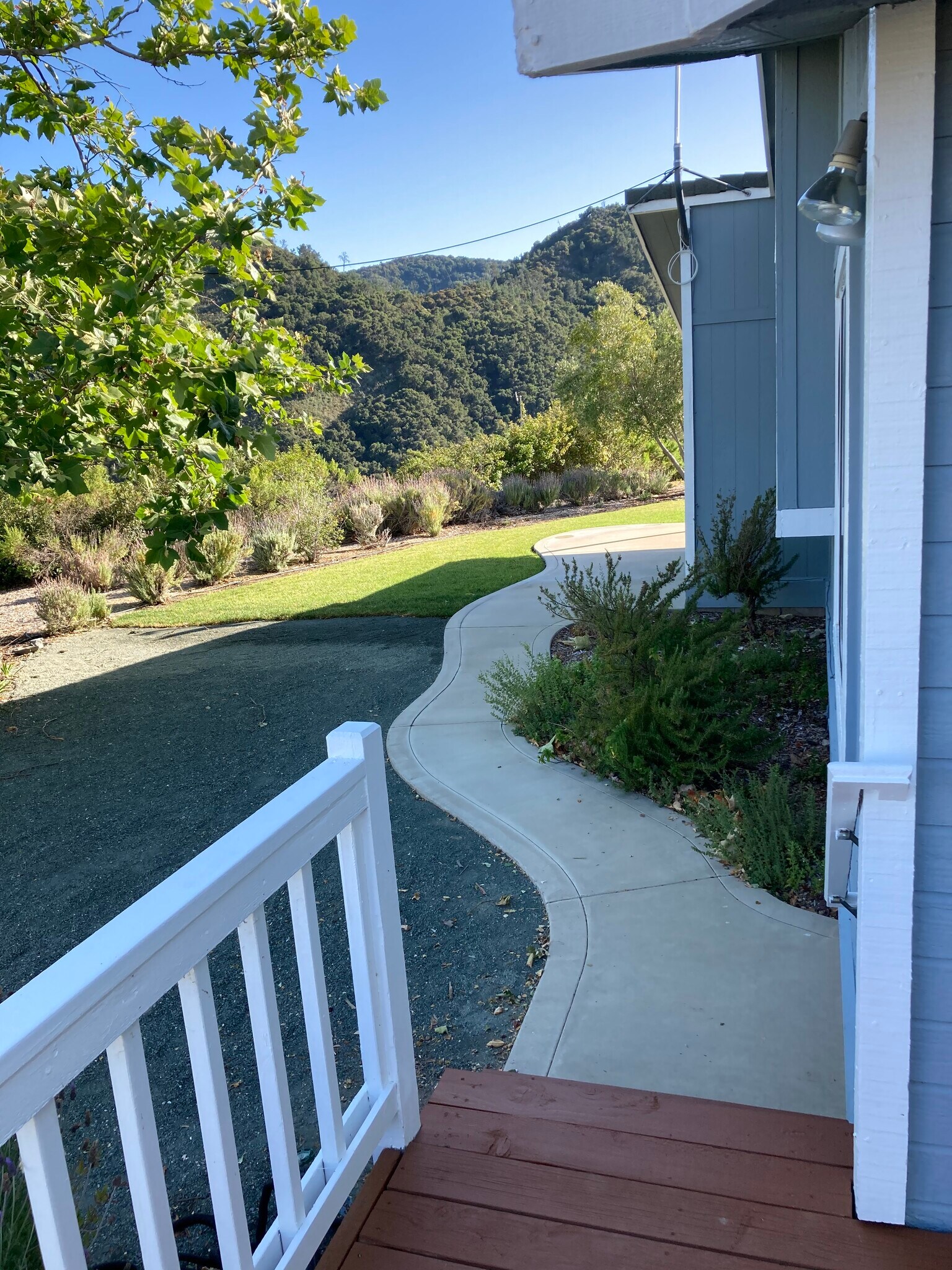 View other way from front deck toward lawn - 2596 Black Walnut Rd