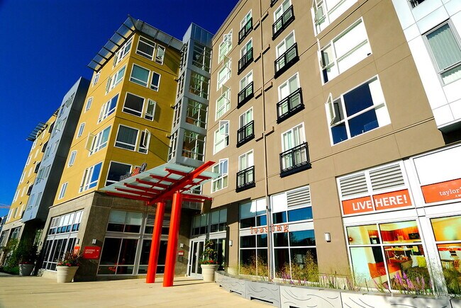 Building Photo - Taylor 28