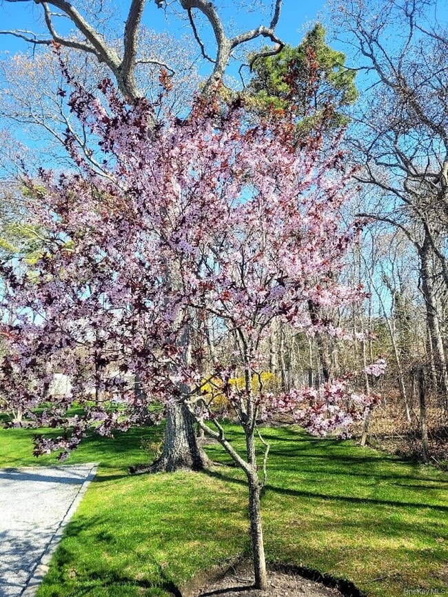 Building Photo - 23 N Westbury Rd