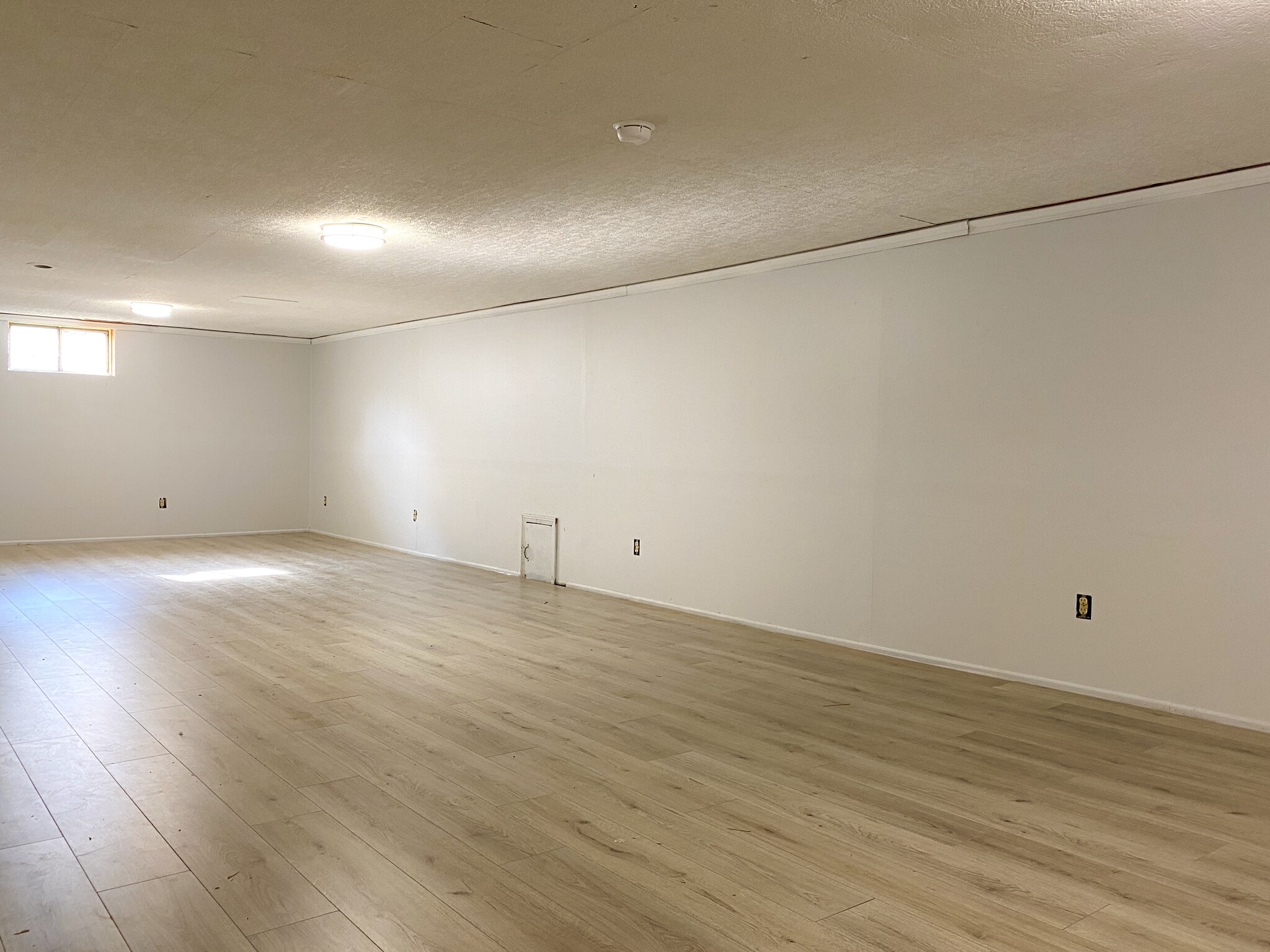 Basement with 3rd half bath and laundry / storage room - 8003 Broadfern Dr