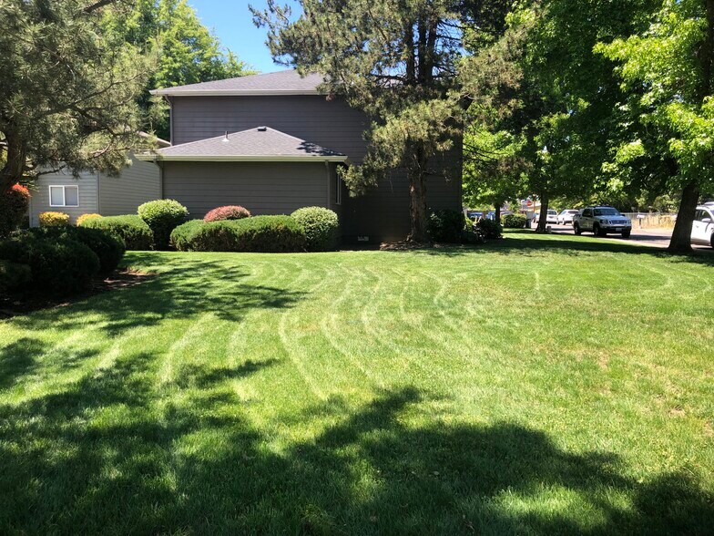 professional landscaping - 550 Van Wey Cir