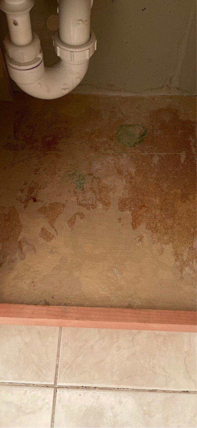 Building Photo - 229 Red Jade Dr