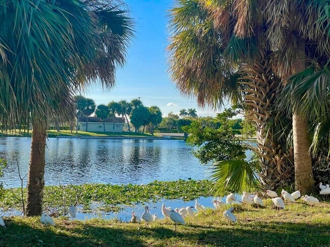 Building Photo - 2880 Lake Osborne Dr