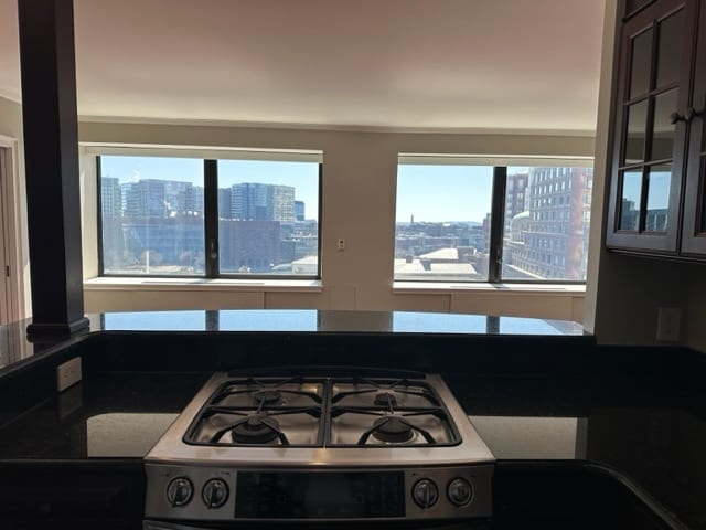 Kitchen view - 85 E India Row