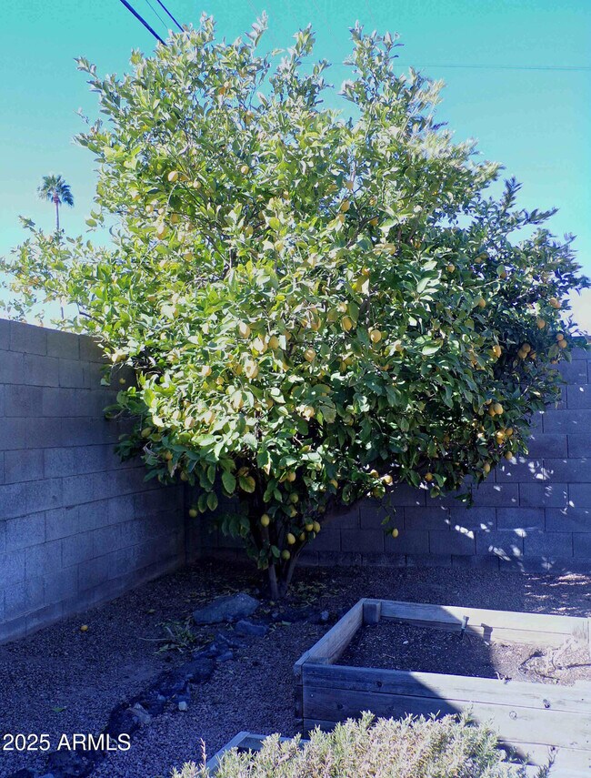 Building Photo - 3333 E Medlock Dr