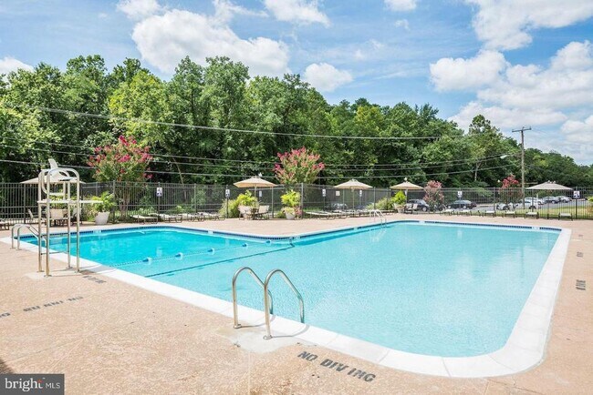 Building Photo - 4500 S Four Mile Run Dr