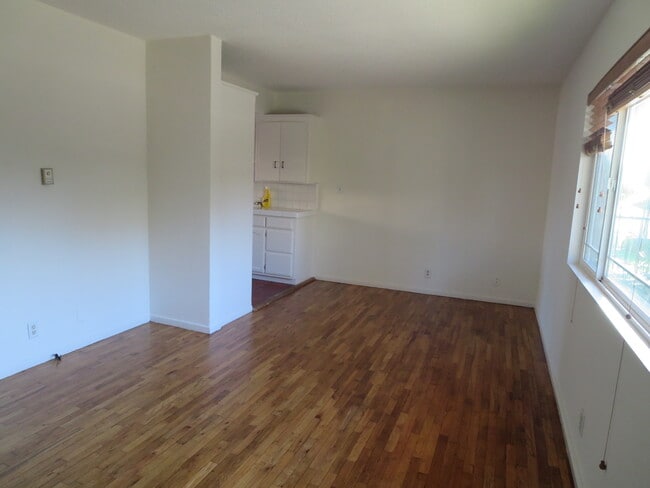 Living room - 502 Indiana Ave