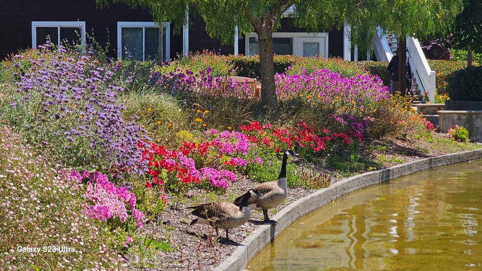 Building Photo - 242 Marina Lakes Dr