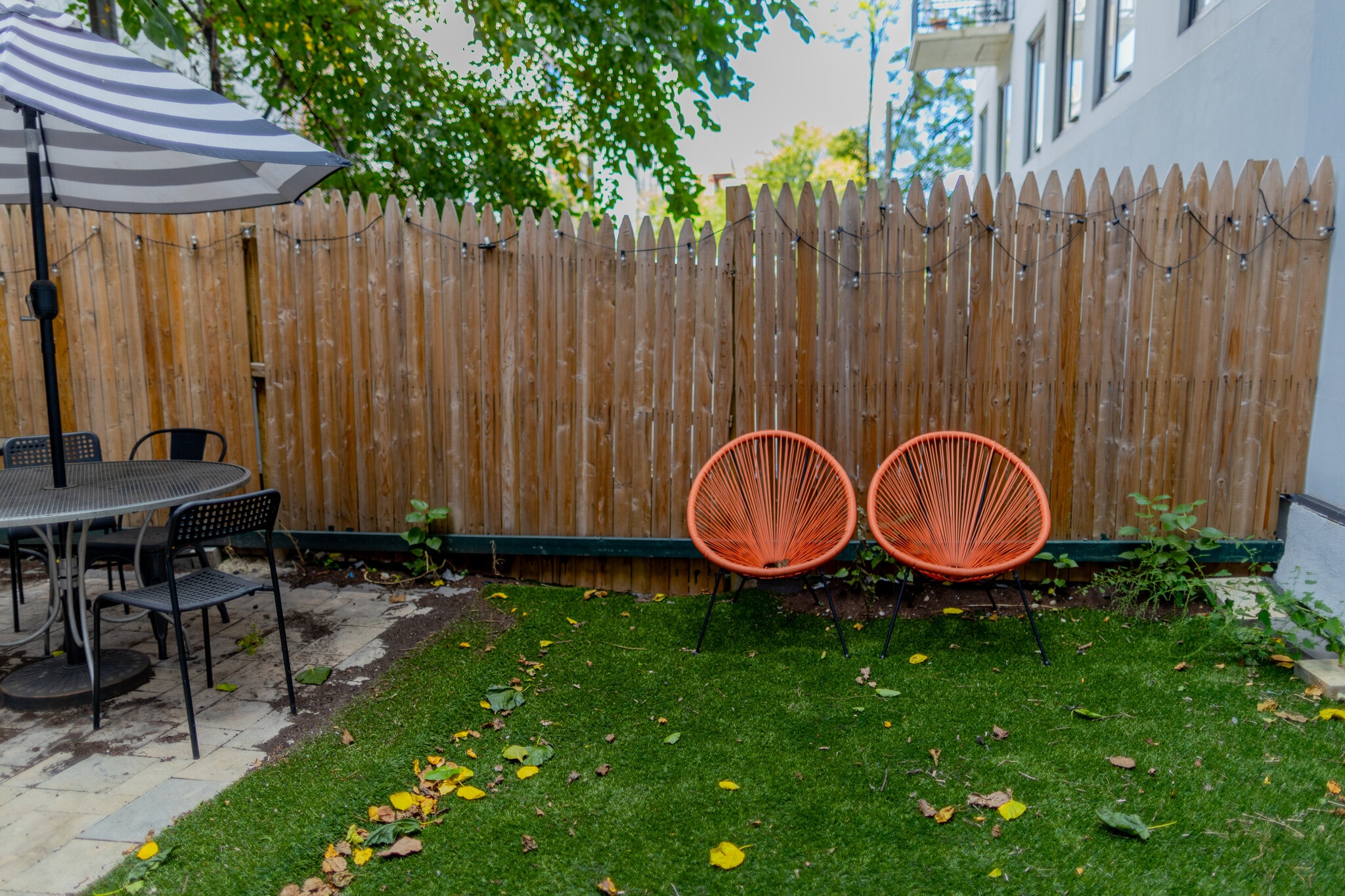 Shared backyard. - 61 Duffield St