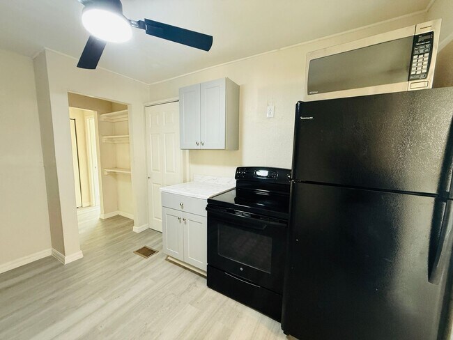 Building Photo - remodeled home in St. Pete