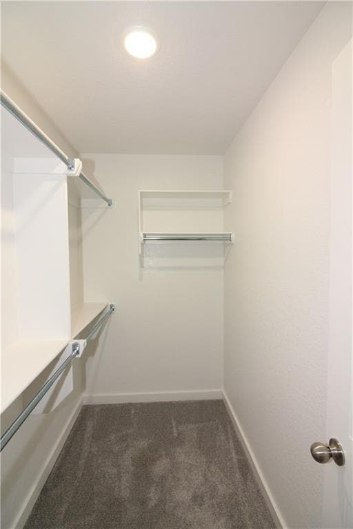 Building Photo - 413 Barbet Dr