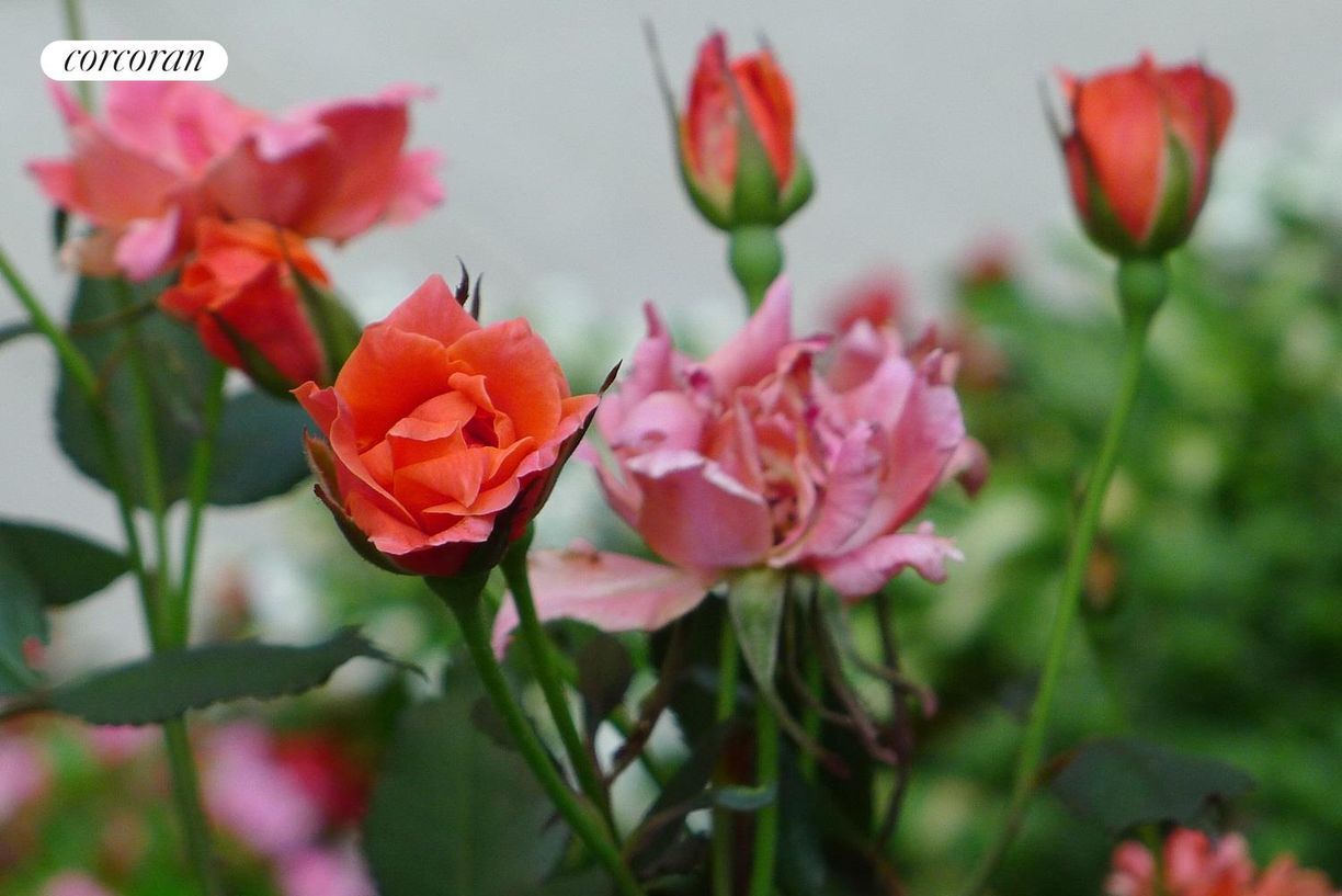 Building Photo - 400 Central Prk W