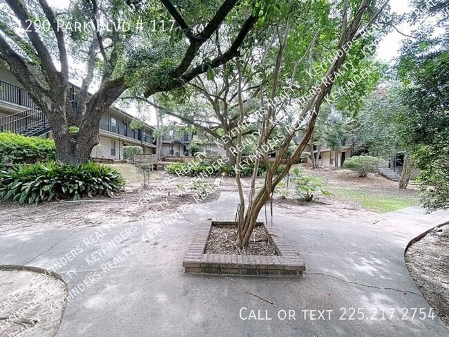 Building Photo - 1290 Park Blvd
