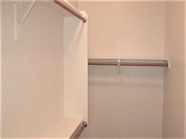 Building Photo - 2567 W Amber Sun Dr