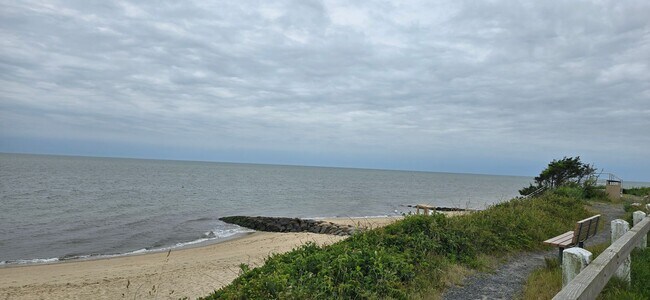 Building Photo - Charming 3BR First-Floor Condo – Walk to B...