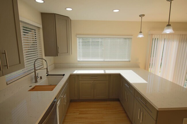 Building Photo - Spring Valley 4-Bedroom Home - Completely remodeled