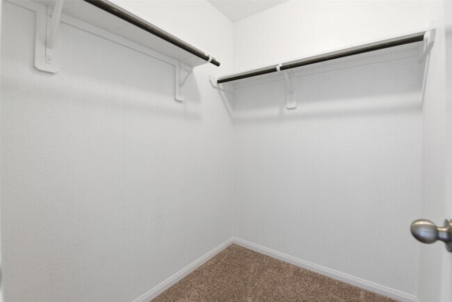 Building Photo - 24907 Bastiani Canvas Ln