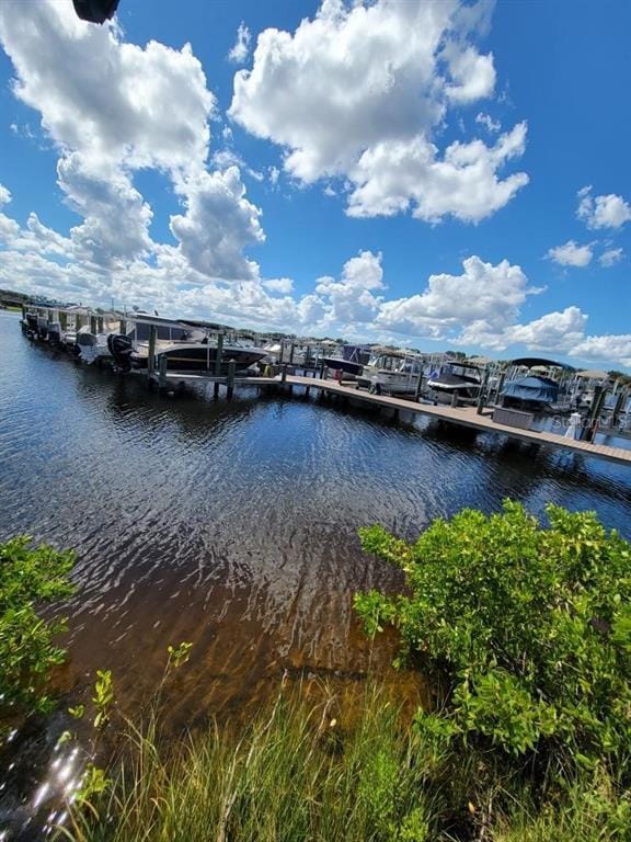 Building Photo - 5117 Tidewater Preserve Blvd