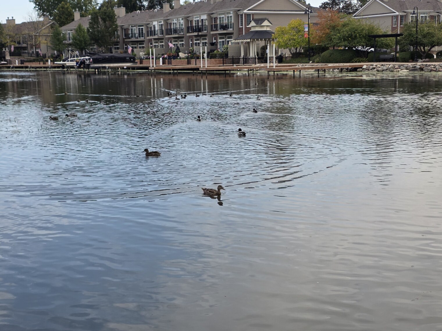 Building Photo - 3407 Venice Ave