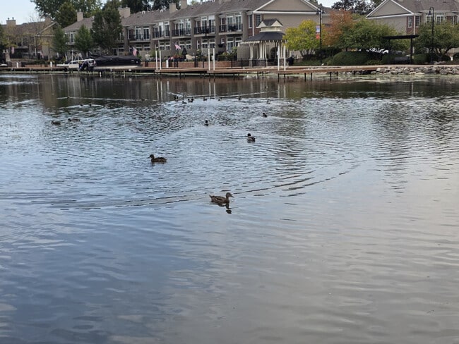 Building Photo - 3407 Venice Ave