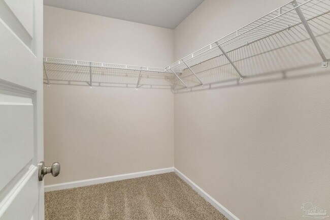 Building Photo - 4423 White Cedar Ct