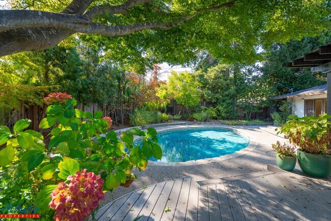 Building Photo - Beautiful Los Gatos Home | Remodeled | Swi...
