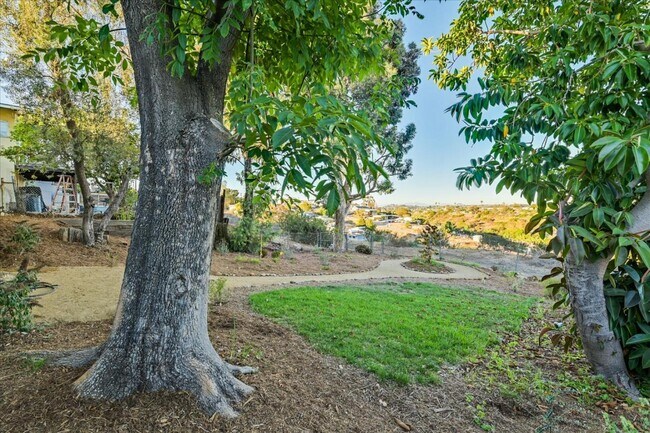 Building Photo - 2563 Roseview Pl