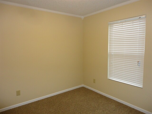 Building Photo - 1771 Elijah Blue Dr