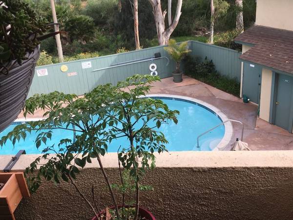 heated pool - 2609 Pico Pl