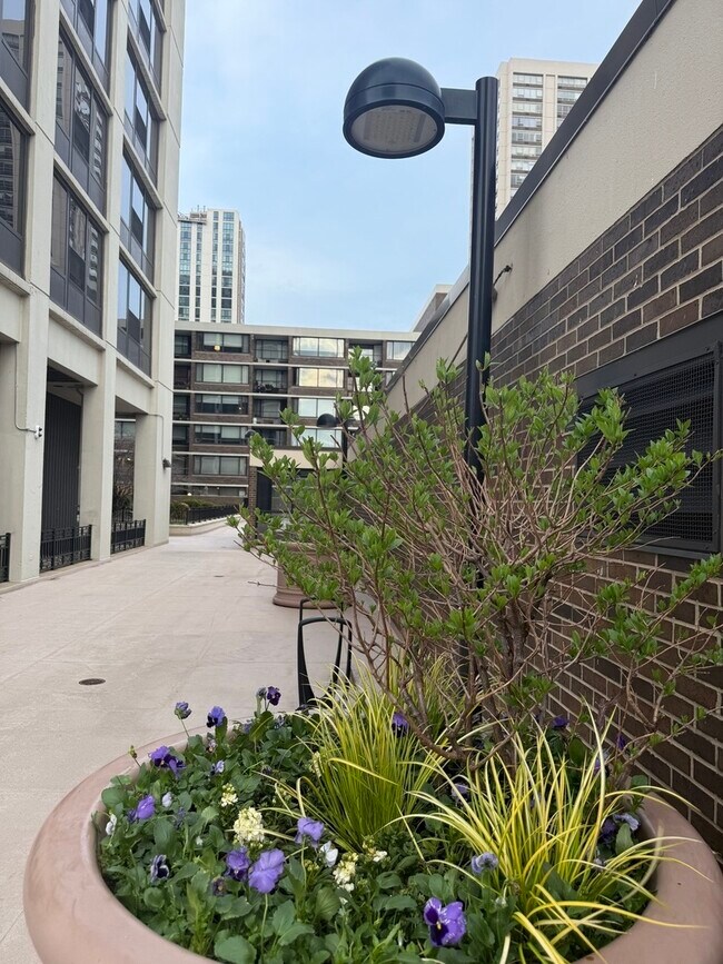 Building Photo - 1560 N Sandburg Terrace