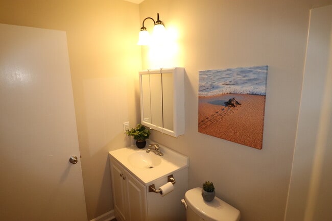 Hall bath cabinets - 2808 Daytona Dr