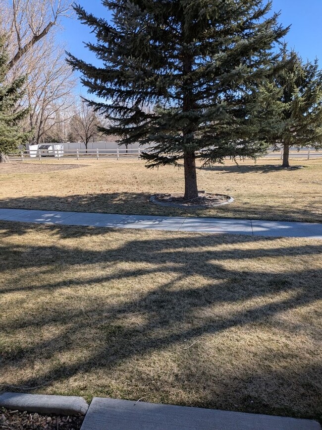 Building Photo - 3 bed 1.5 bath IMMACULATE END-UNIT Townhome in the Meadows