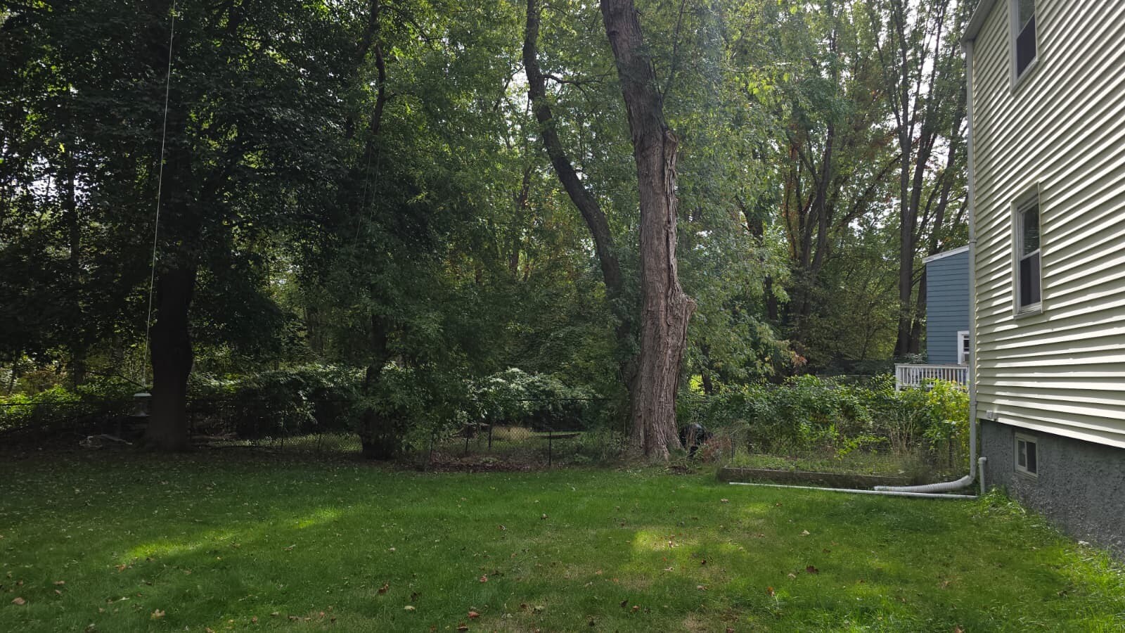 Building Photo - 57 Maynard Rd