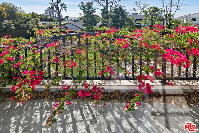 Building Photo - 360 Alma Real Dr