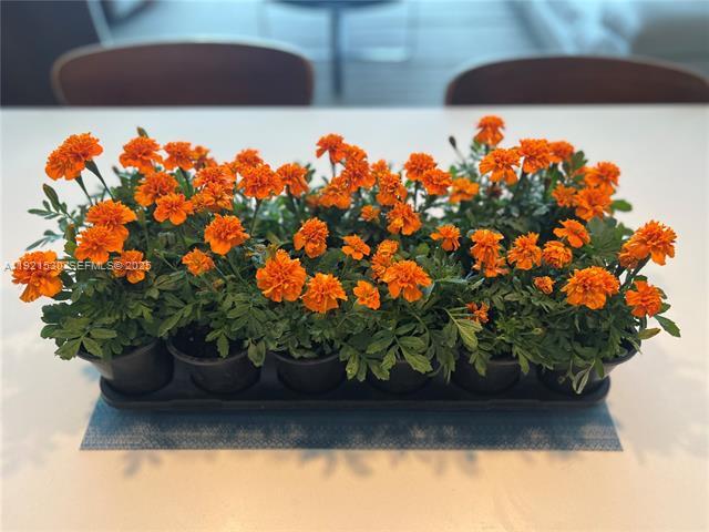 Building Photo - 3131 NE 7th Ave