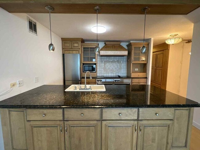 Building Photo - 1440 N Lake Shore Dr