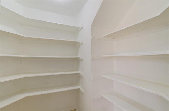 Building Photo - 3706 Echo Grove Ln