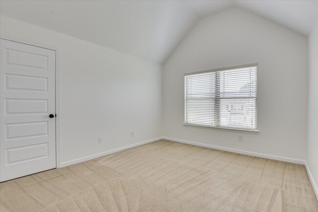 Building Photo - 873 Rollo Domino Cir