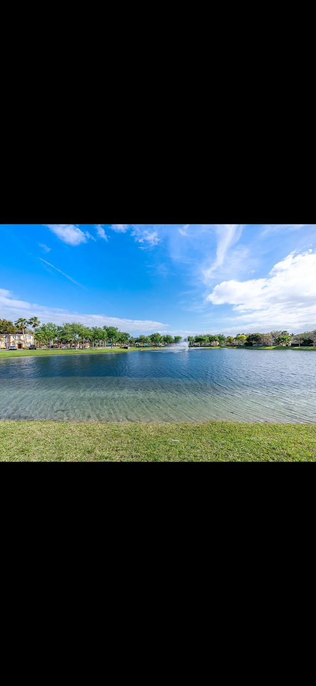 Backyard view - 2451 SE 14th Ave