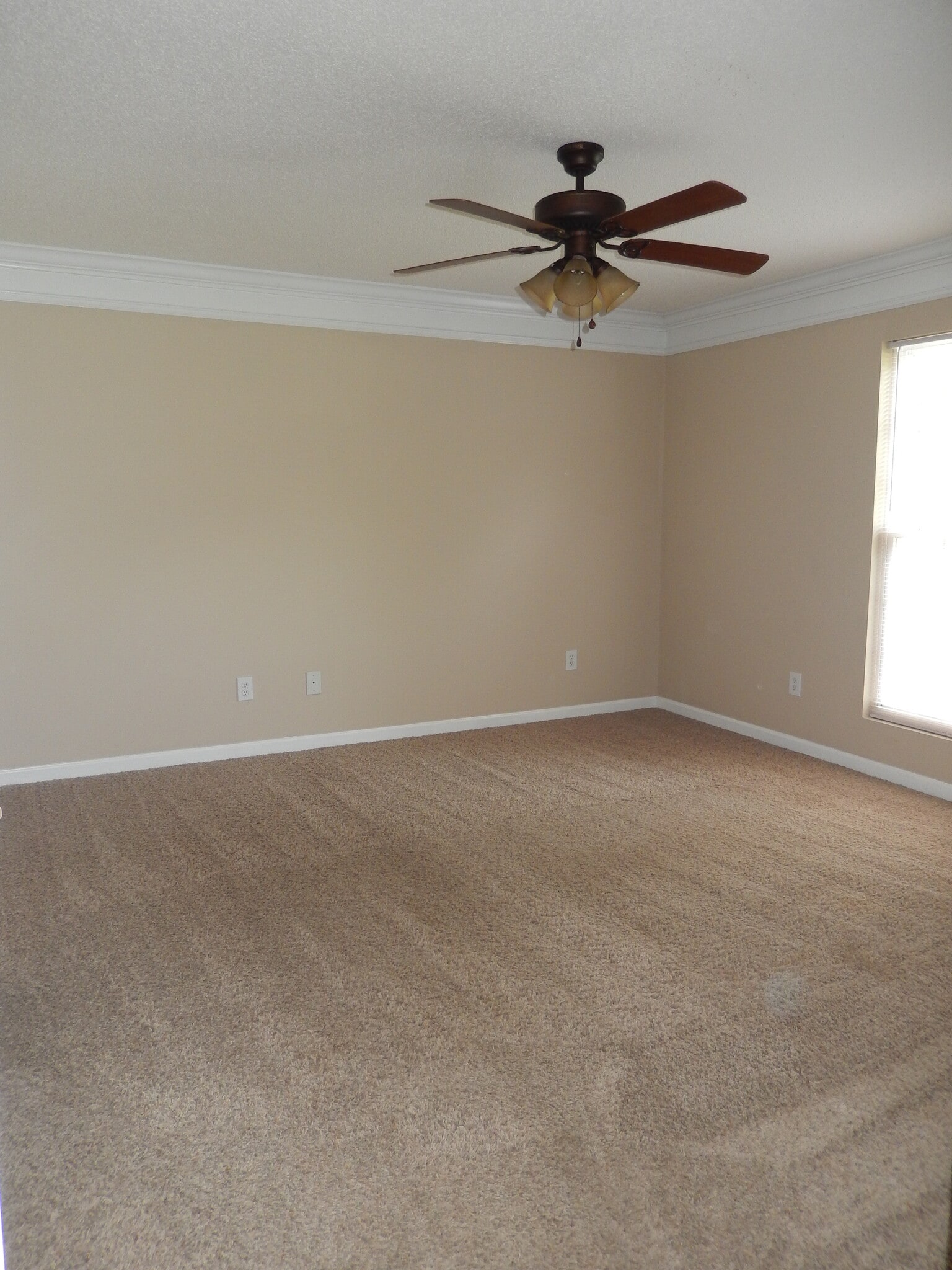 Large Bedroom - 2065 Pinemount Blvd