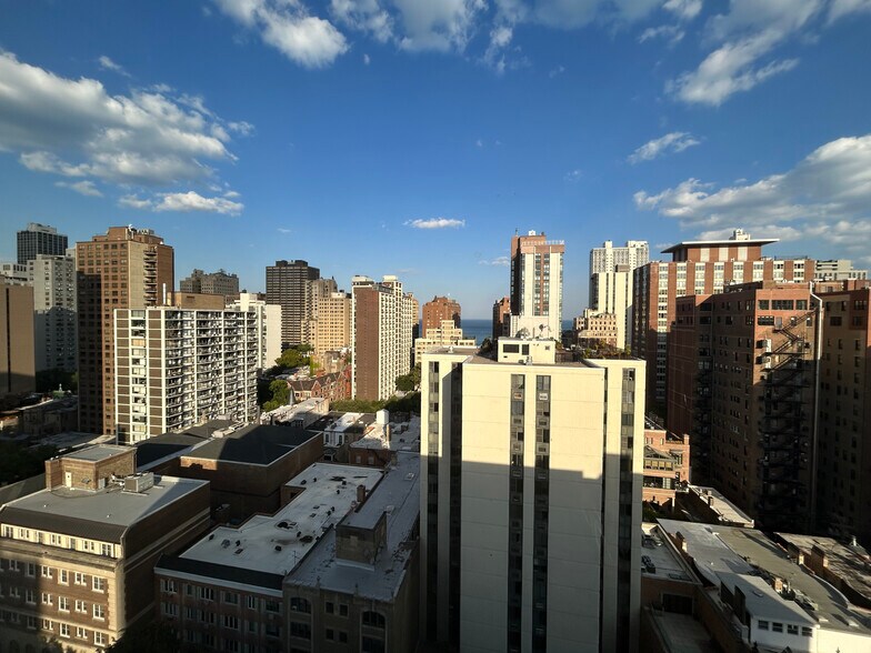 Building Photo - 1350 N Dearborn St