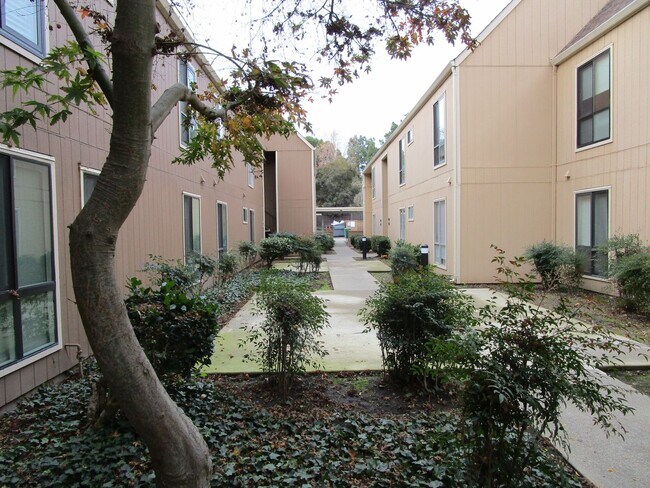 Primary Photo - Location, Location, Location- Vintner Condo's