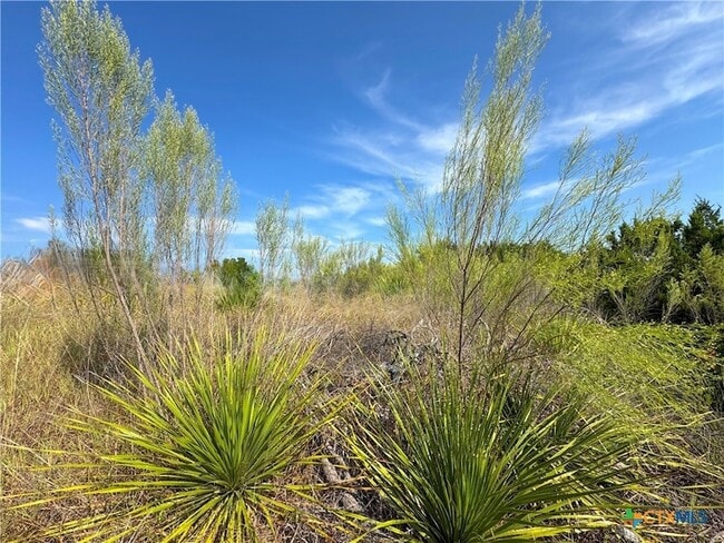 Building Photo - 849 Scenic Hills Dr