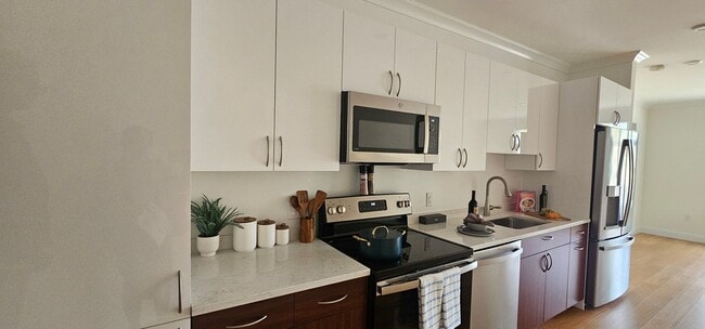 Building Photo - Chestnut Hill Luxury 1-Bed 1-Bath Apartment