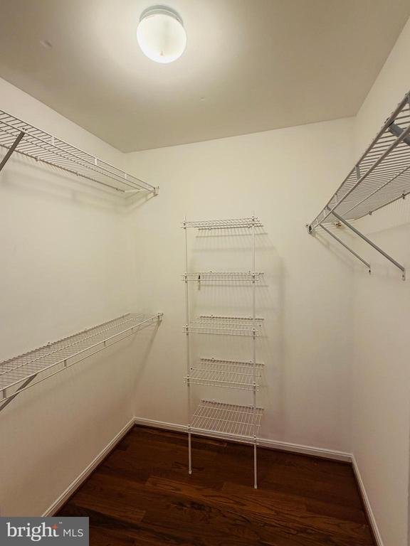 Building Photo - 2503 Wheat Meadow Ct