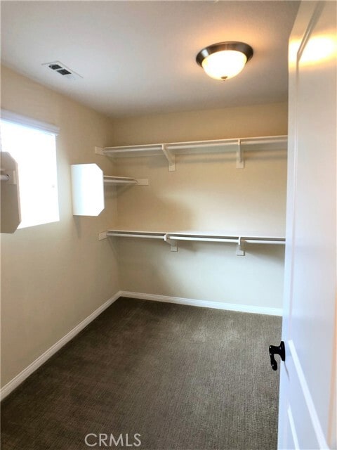 Building Photo - 2459 Bruin Pl