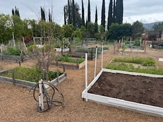 Garden for Homeowners - 21730 Candela Dr